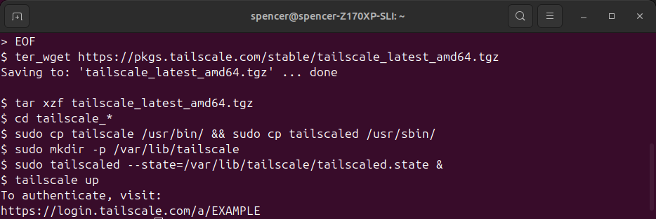 Setting up Tailscale on Terramaster NAS for your DIY Cloud